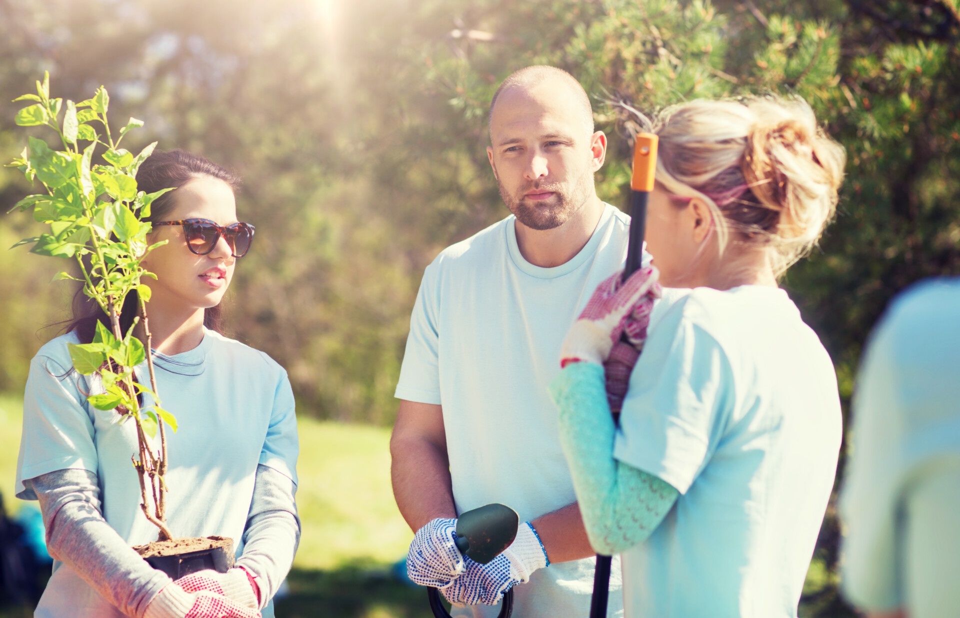 Tree Club MuPrint Joins City of Trees’ 100 Trees Club to Support a Greener ...